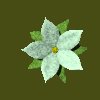 pretty_flower_green_mc.gif