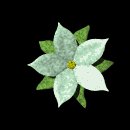 pretty_flower_green_lb.gif