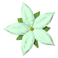pretty_flower_green_hr.jpg