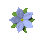 pretty_flower_blue_tc.gif