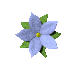 pretty_flower_blue_sc.gif