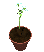 pot_flowers_openclose_tc.gif