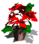 poinsetta_sw.gif