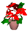poinsetta_sc.gif