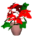 poinsetta_mc.gif