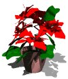 poinsetta_lw.gif