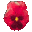 pansy_red_tc.gif