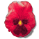 pansy_red_sw.gif