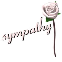 light_pink_rose_open__a_hr.jpg