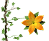 flower_openclose_sw.gif