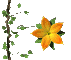 flower_openclose_sc.gif