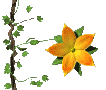 flower_openclose_mc.gif