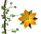 flower_openclose_lw.gif