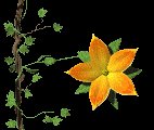 flower_openclose_lc.gif