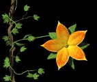 flower_openclose_lb.gif