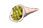 dozen_yellow_roses_wr_a_mc.gif