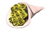 dozen_yellow_roses_wr_a_hr.jpg