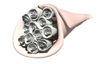 dozen_white_roses_wra_a_hr.jpg