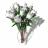dozen_white_roses_exp_a_tw.gif