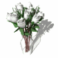 dozen_white_roses_exp_a_sw.gif