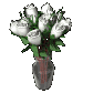 dozen_white_roses_exp_a_sc.gif