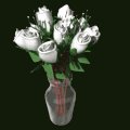 dozen_white_roses_exp_a_mb.gif