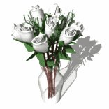 dozen_white_roses_exp_a_lw.gif