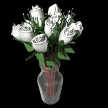 dozen_white_roses_exp_a_lc.gif