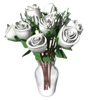 dozen_white_roses_exp_a_hr.jpg