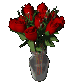 dozen_red_roses_expan_a_sc.gif