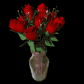 dozen_red_roses_expan_a_sb.gif