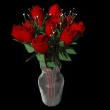dozen_red_roses_expan_a_lc.gif