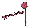 dark_pink_rose_open_m_a_sc.gif