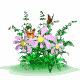 butterflies_flowers_mw.gif