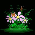 butterflies_flowers_lb.gif