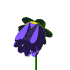 blue_flower_mw.gif