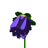 blue_flower_mc.gif