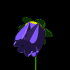 blue_flower_mb.gif