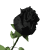 black_rose_sw.gif