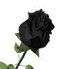 black_rose_mw.gif