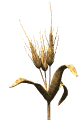 wheat_wave_lw.gif