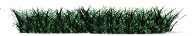 grass_blowing_in_wind_lw.gif