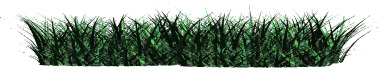 grass_blowing_in_wind_hr.jpg