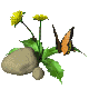 dandilion_butterfly_sc.gif
