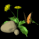 dandilion_butterfly_sb.gif