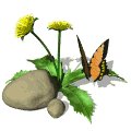 dandilion_butterfly_mw.gif