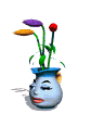 blooming_flower_jug_sw.gif