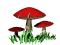 red_mushroom_sw.gif