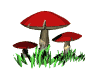 red_mushroom_mw.gif
