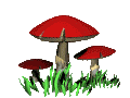red_mushroom_lc.gif